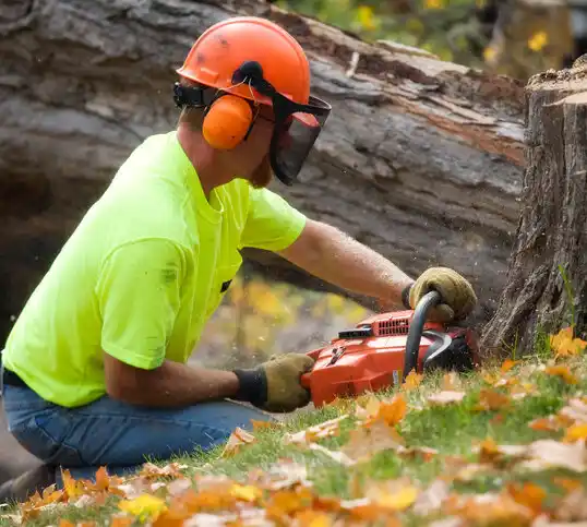 tree services Ballenger Creek